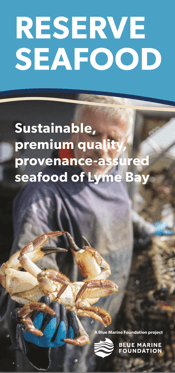 Download the Reserve Seafood leaflet